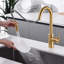 Robinet de cuisine contemporain à poignée simple avec accessoires-85899994