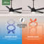 52" Aerodyne 5 - Blade Smart Standard Ceiling Fan with Lights and Remote-57282074