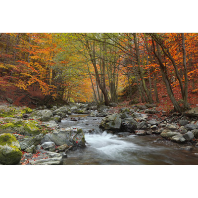 Willam Autumn River - Wrapped Canvas Print