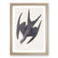 Frigate Pelican by John Audubon - Framed Print-55577770-55577771