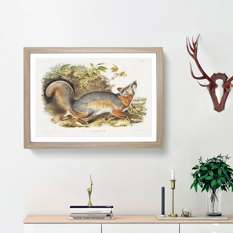 Grey Fox by J.W. Audubon - Picture Frame Painting Print, Oak Framed, 27cm H x 36cm W x 2cm D
