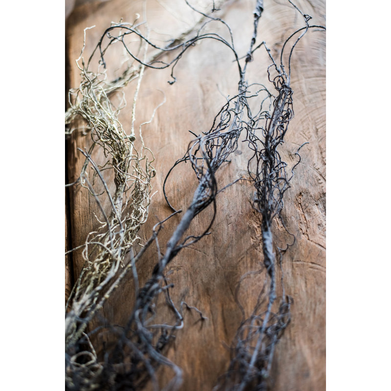 Branche de tige artificielle pour racine d’arbre, Marron foncé