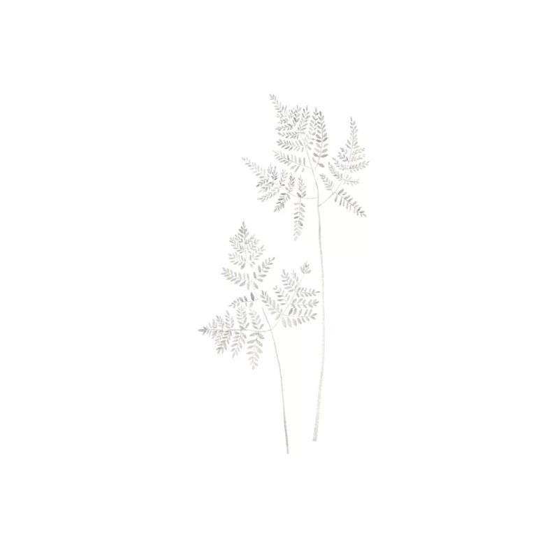 Delicate Fern 1 Piece Wrapped Canvas Painting, 152.5 cm H x 101.5 cm W