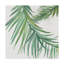 « ferns square iv », reproduction de peinture à l’acrylique sur toile tendue-31872410