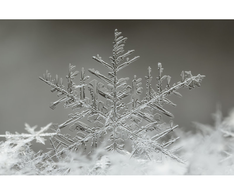 Wrapped Canvas Print, 50.8 cm H x 76.2 cm W