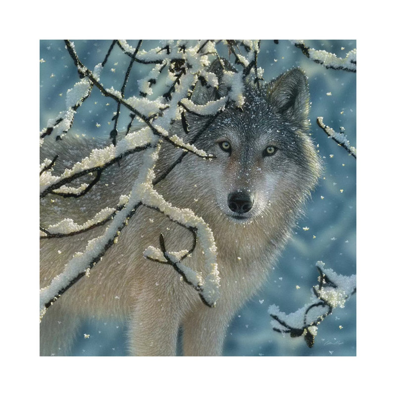 « Broken silence Gray Wolf », carré par Collin-gris-impression d’art graphique, Pas de tapis, Toile tendue