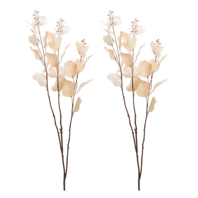 Tige d'eucalyptus ensemencé (ensemble de 6)