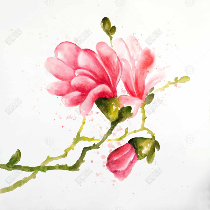 Magnolia flowers - 26"x26" Throw pillow - Poly twill - Print on demand, 26" H x 26" W, Polyester/Polyfill
