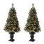 Arbre de Noël cyprès blanc givré illuminé-893898168