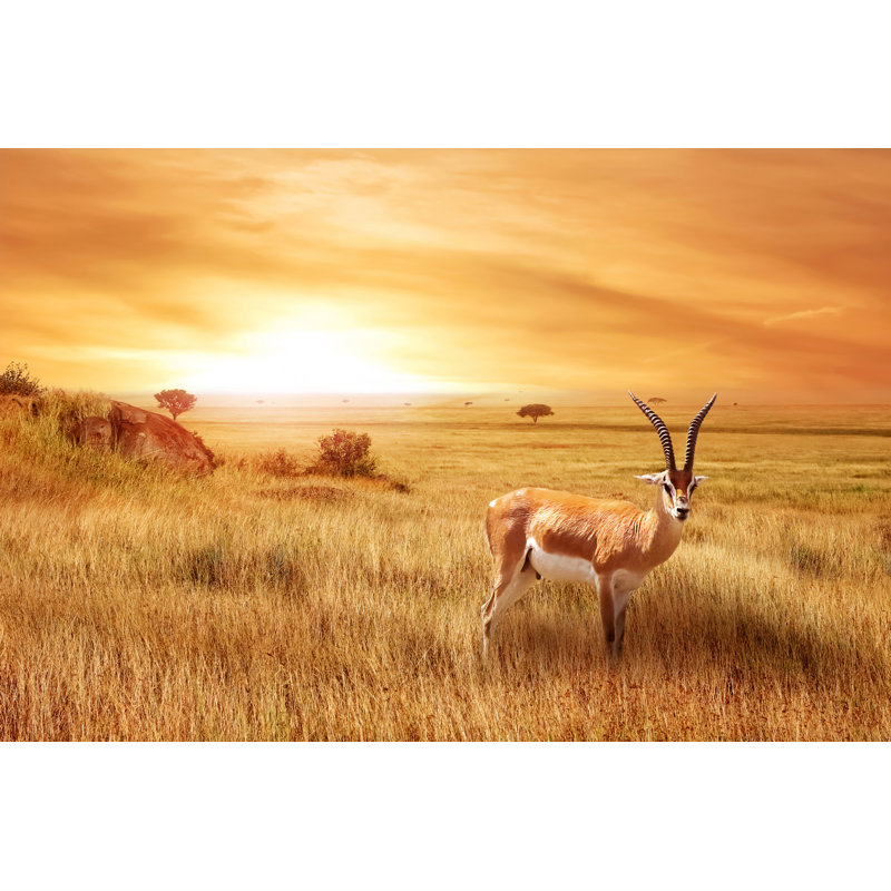 Gunther Lonely Antelope 1 Piece Wrapped Canvas Wall Art, 81cm H x 122cm W x 3.8cm D