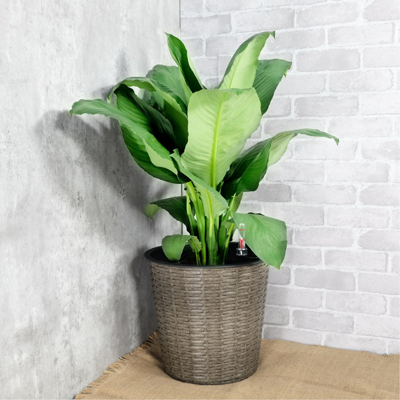 13.4" Self-Watering Planter - Indoor Outdoor Natural Look Frost Quick And Easy Assembly Decorative Use Appearance, Beige