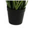 304.8cm Faux Plant in Pot Liner