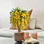 Fleurs et tiges de glycine-479851205