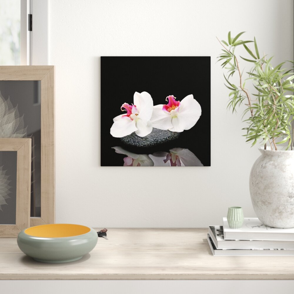 Glasbild White Orchid V, Fotodruck