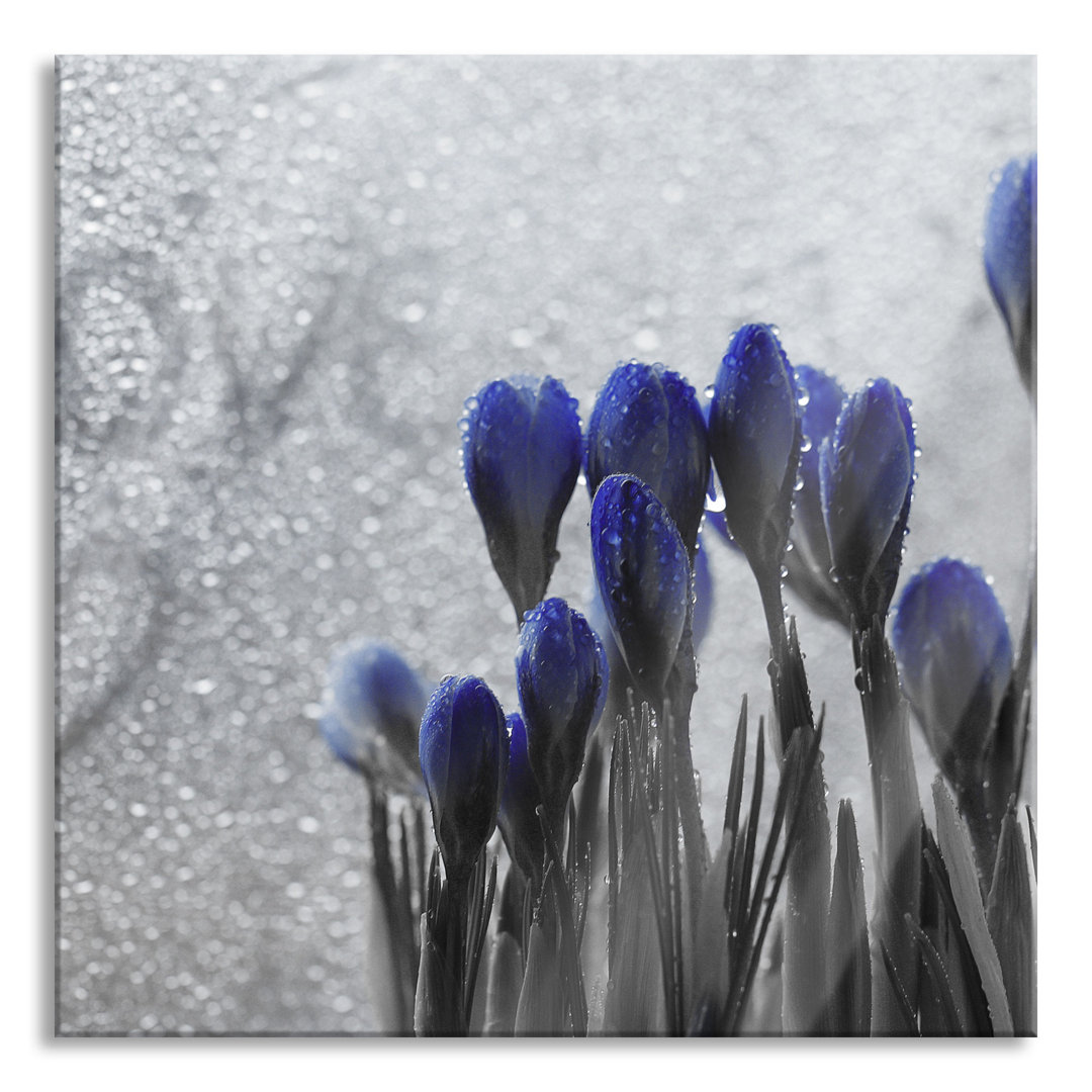 Glasbild Spring Flower Love