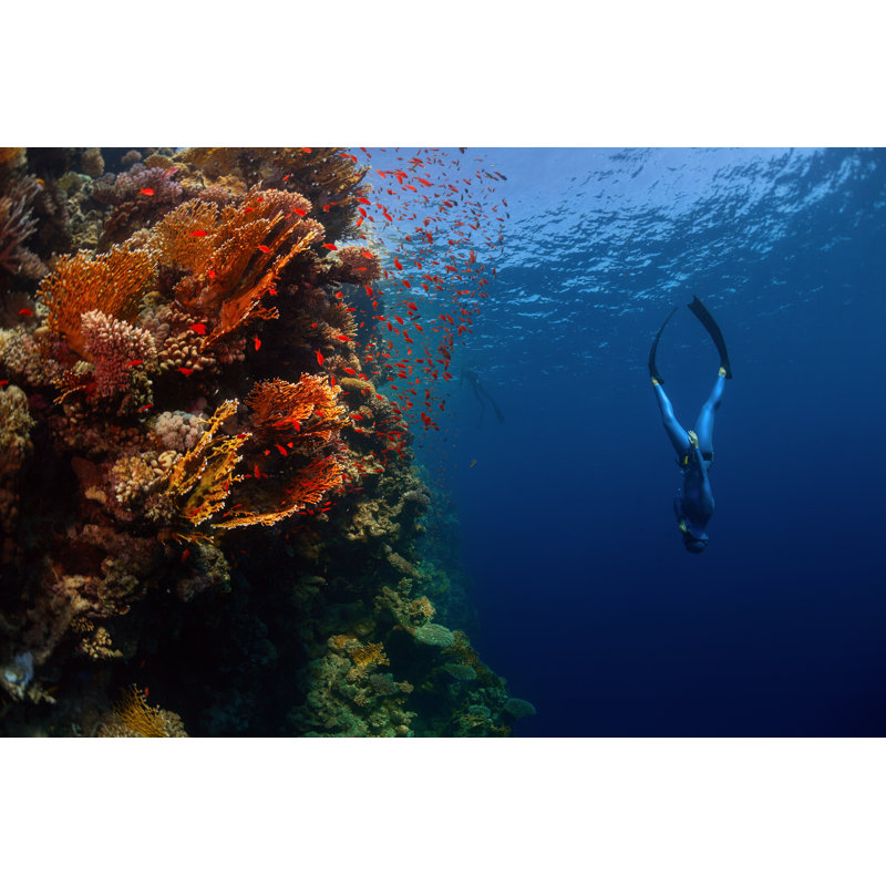 Freediver In Sea - Wrapped Canvas Print, 30cm H x 46cm W x 3.8cm D