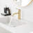 Single Hole Single-Handle Bathroom Faucet-107439112