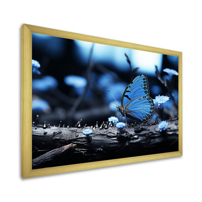 " Forest Blue Butterfly Woods "