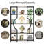 Analya 168.9cm H x 103.9cm W Metal Geometric Bookcase-624760729
