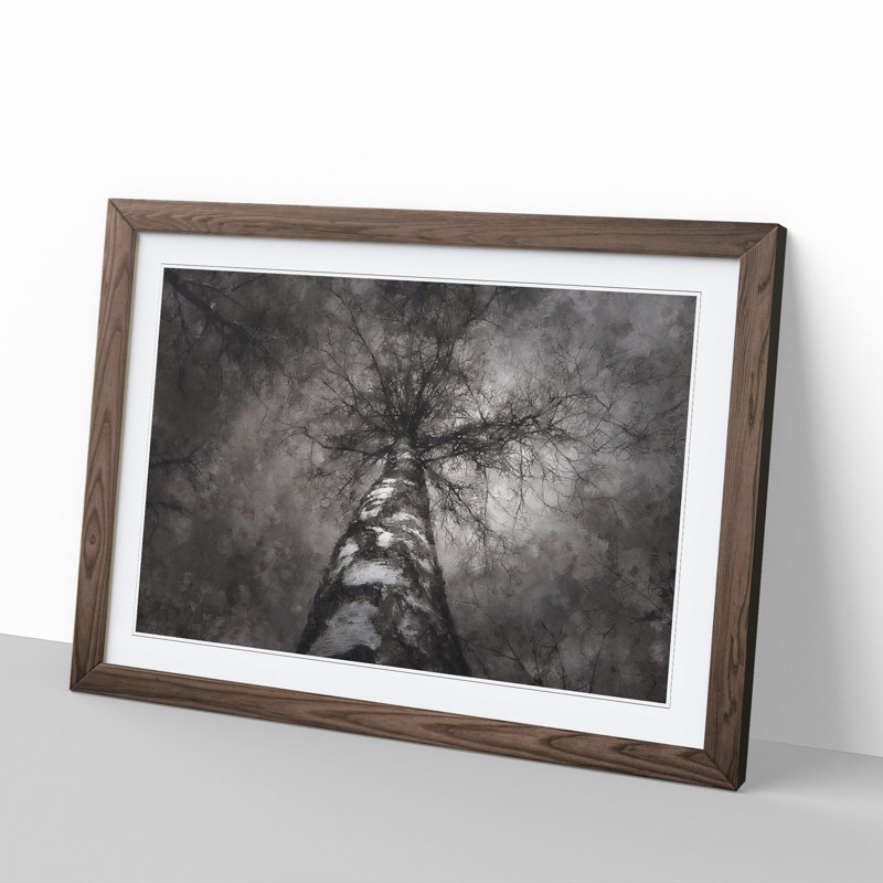 Birch Tree - Picture Frame Painting, 48cm H x 65cm W x 2cm D, Walnut Framed