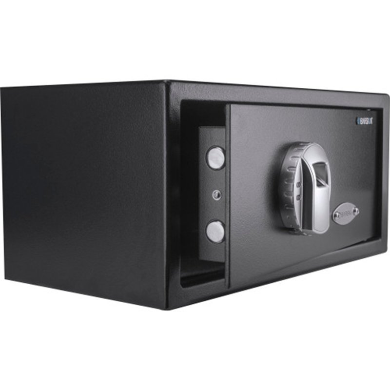 Biometric Safe – Compact Security Box