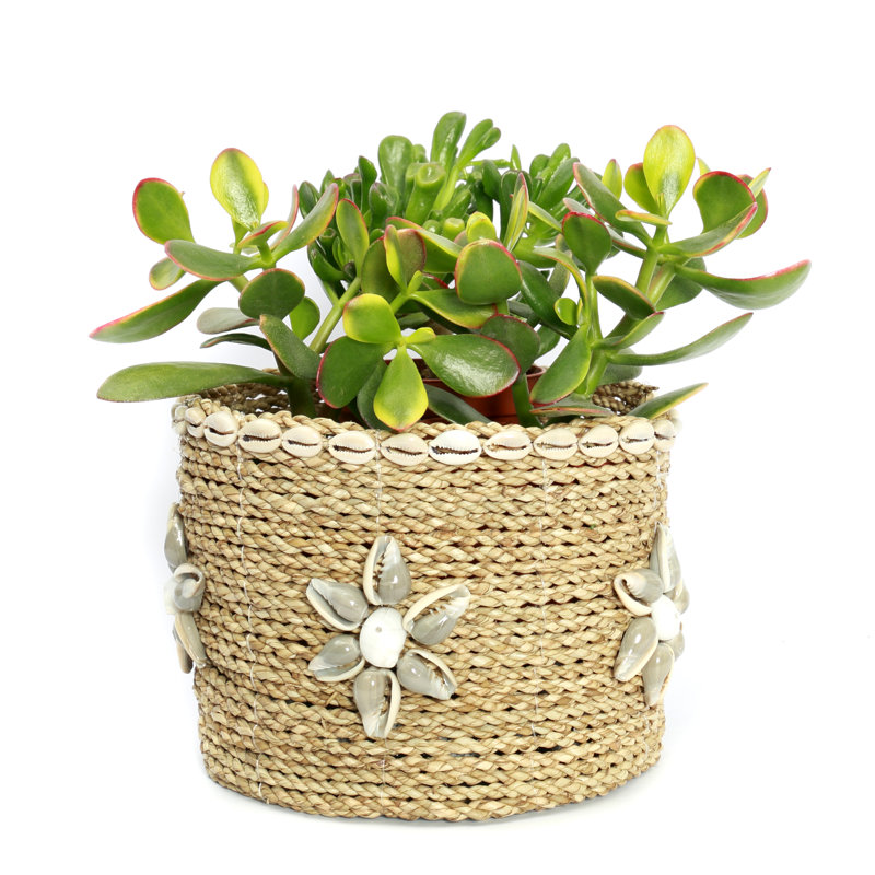 Bazar Bizar Wicker Box, 19 cm H x 25 cm W x 25 cm D
