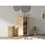 12 Pair Shoe Storage Cabinet