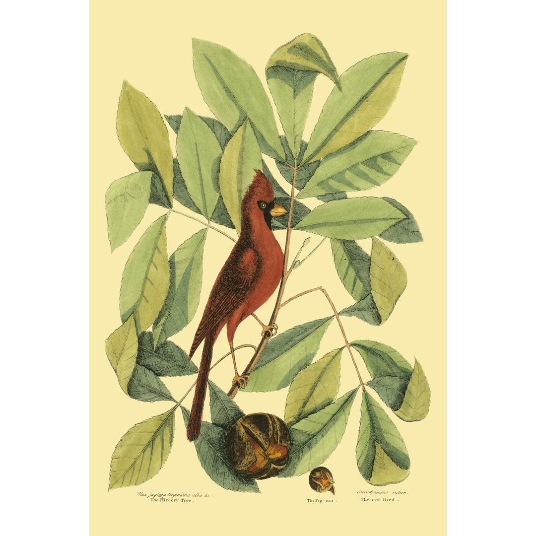 Bird and Hiccory Tree by Erin Ashley - Wrapped Canvas Painting