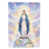 Mary Immaculate Conception