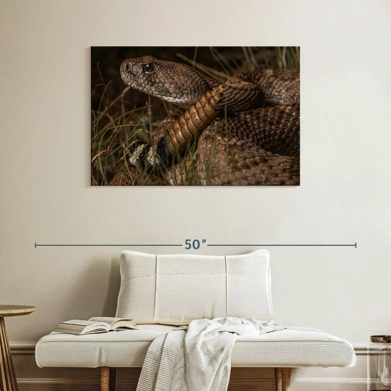Diamondback Rattlesnake, 26" H x 39" W