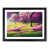 Black Framed selected