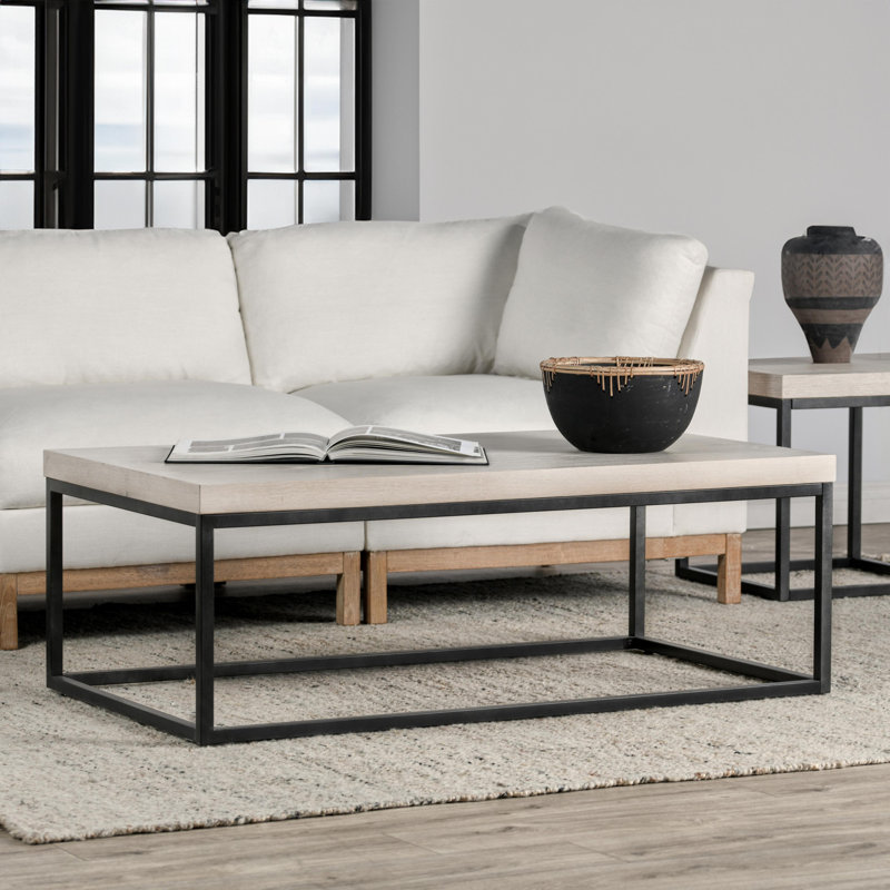Brayton 52" White Wash Rectangular Coffee Table with Metal Frame