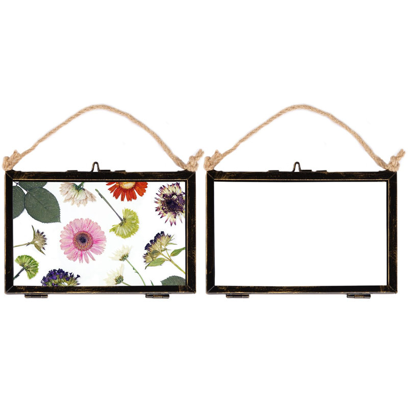 Nicola Spring - Hanging Metal Photo Frames, 8" x 10", Rectangle, 2