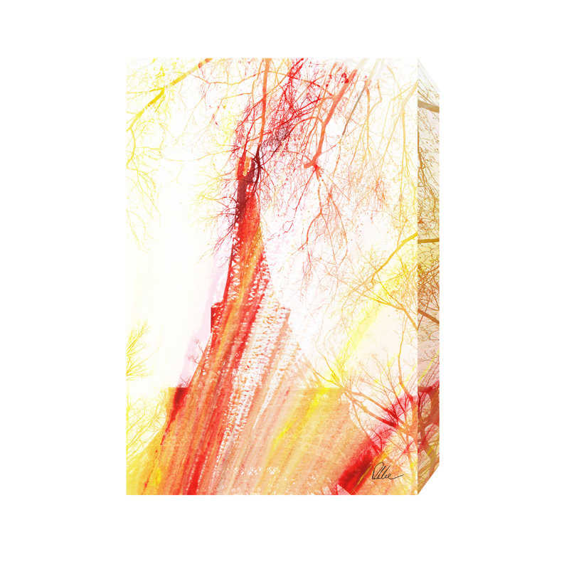 Andrew Lee - Wrapped Canvas Print, 76 cm H x 112 cm W x 4 cm D
