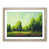 Oak Framed
