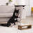 Teamson Pets Elevated 2- Dish Pet Feeder