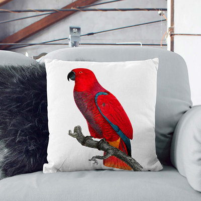 Square Cushion