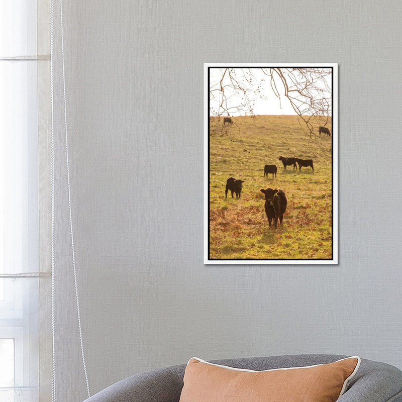 Fall Field II by Aledanda - Print on Canvas, White Framed, 66.04cm H x 45.72cm W x 3.81cm D