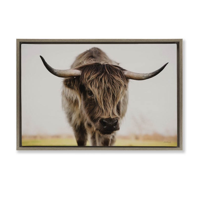 «Longhorn with Piercing Gaze», art mural encadré flottant par Dakota Diener, H 17 po x l 25 po