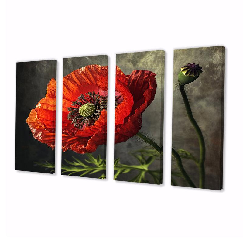Gros plan sur un coquelicot rouge - coquelicot 4 pièces, H 28 po x l 48 po