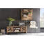 Padmini Dining Chair