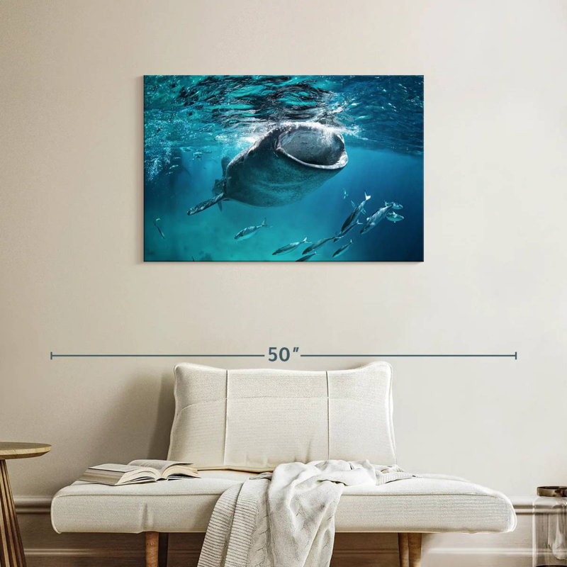 Brampt Gaping Whale Shark, 24" H x 36" W