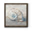 Blue Shell Study III-impression de cadre photo sur papier-145096527-145096512