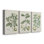 Buchoz Tropicals I - Toile tendue avec châssis sur mesure - 3 pièces
