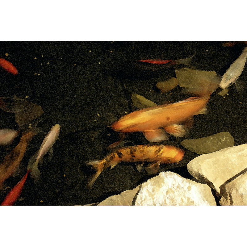 Goldfish Pond I, H 32 po x l 48 po x P 1,25 po