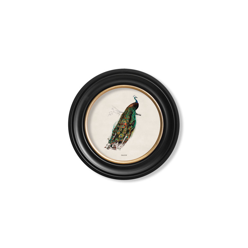 1847 Peacock by Mid-1800s - Single Picture Frame Print on Archival Matt 230gsm Paper, Beige
