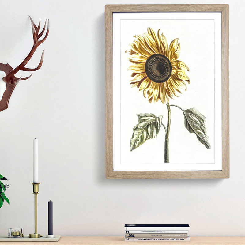 A Sunflower by Johan Teyler - Framed Print, 45cm H x 33cm W x 2cm D, Oak Framed