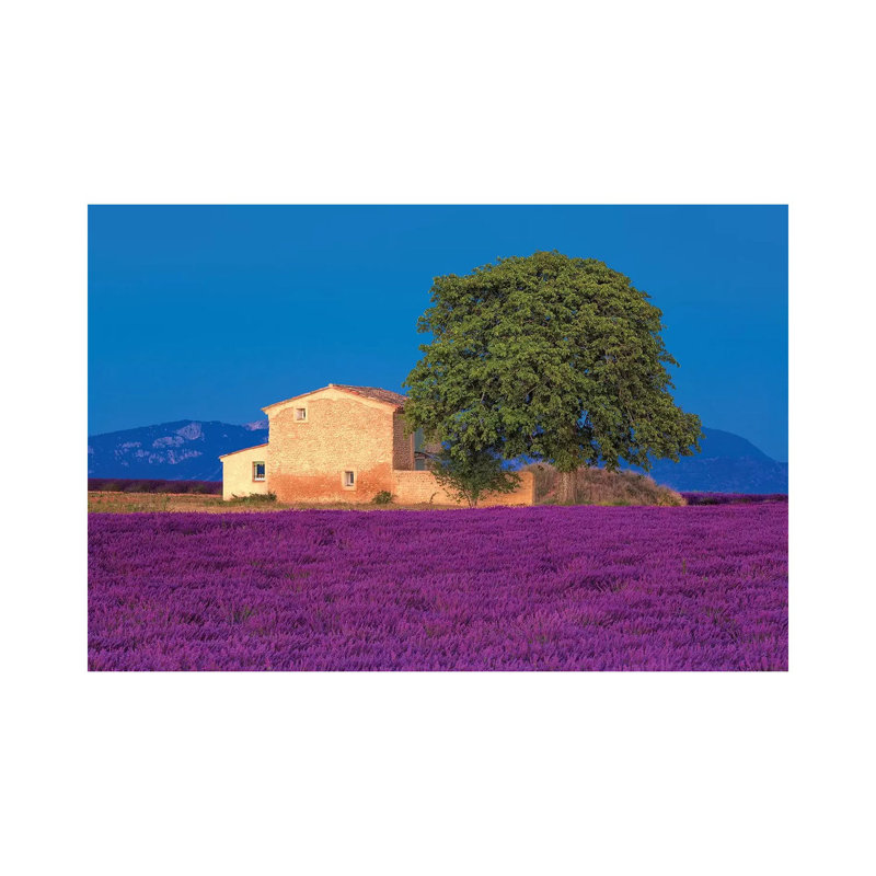 France, Provence. Lavender Field In The Valensole Plateau. by Jaynes Gallery - Wrapped Canvas Gallery-Wrapped Canvas Giclée