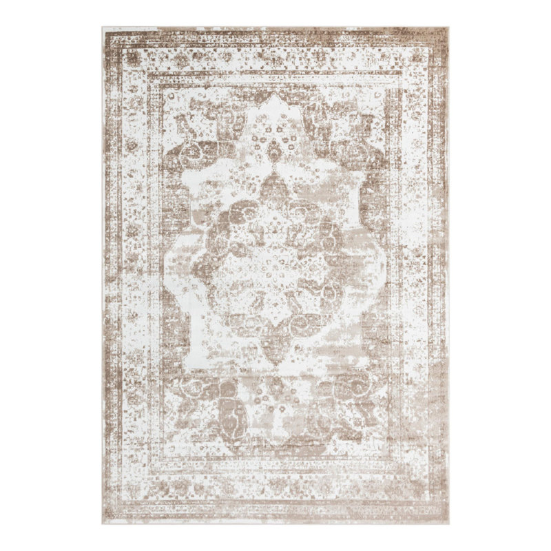 Coblitz Oriental Indoor Rug, Rectangle 6'1" x 9'