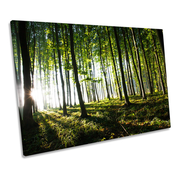 Union Rustic Forest Landscape Trees - Wrapped Canvas Art Prints ...